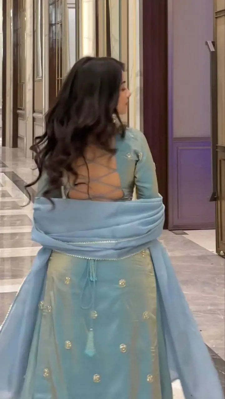 Powder Blue Embroidered Palazzo Suit Set with Organza Dupatta & Potli Bag
